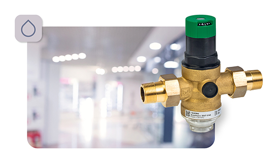 D06 vine cu un cadou